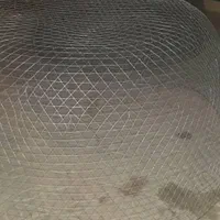 گرگور ماهی گیری|ماهیگیری|بندر کنگان, |دیوار