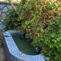 خانه باغ دنج استهریج مهریز|اجارهٔ کوتاهمدت ویلا و باغ|یزد, |دیوار