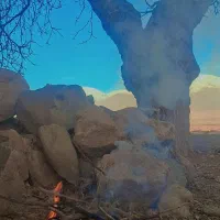 زمین-کشاورزی