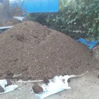 کود حیوانی کوهنه پهن