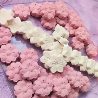 قندونبات فانتزی ویلدایی،گیاهی،دمنوشی،رژیمی|خوردنی و آشامیدنی|حمیدیا, |دیوار