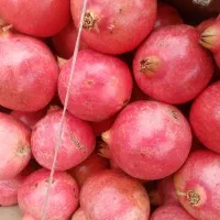 انار دونه قرمز درجه یک|خوردنی و آشامیدنی|شیراز, شریف‌آباد|دیوار