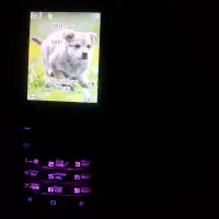 پاور بانک 10000سامسنگ اصل نو پلم ومموری32|لوازم جانبی موبایل و تبلت|شیراز, شهرک والفجر|دیوار