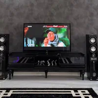 اسپیکر خانگی nico در حد