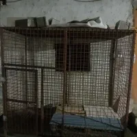 قفس سگ..