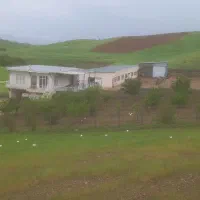 گاوداری|فروش دفتر صنعتی، کشاورزی، تجاری|روانسر, |دیوار