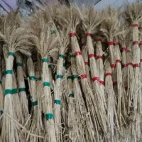 خوشه گندم به صورت کلی