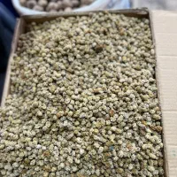 توت خشک|خوردنی و آشامیدنی|گرگان, |دیوار