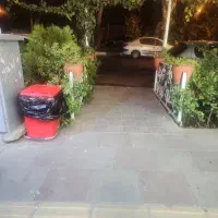 راننده خانم بدون ماشین