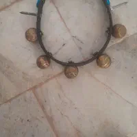 زنگ سگ|لوازم جانبی حیوانات|مشهد, پایین خیابان|دیوار