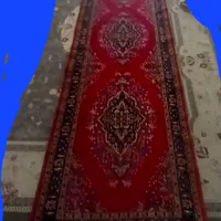 کناره  لاکی رنگ نونو|فرش|الشتر, |دیوار