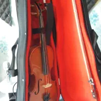 ویالون استیودنت|ویولن|ری, شهید غیوری (ابن باویه)|دیوار