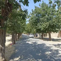 باغ-ویلا-سرسبز-منطقه-چهچهه-معاوضه