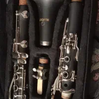 ویالون و کلارینت|ویولن|اصفهان, باغ فدک|دیوار