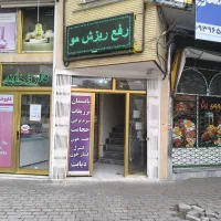 حجامت PRPرفع ریزش مولاغری لیزر موهای زائد کادرپزشک|خدمات زیبایی و سلامت|تبریز, |دیوار