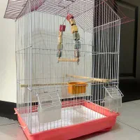 قفس پرنده با وسیله|لوازم جانبی حیوانات|کرج, شاهین‌ویلا|دیوار