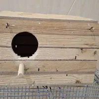 لانه عروس هلندی و لانه طوطی برزیلی (کارکرده)|لوازم جانبی حیوانات|تهران, امیریه|دیوار