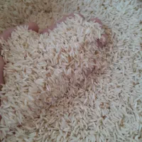 برنج طارم شیروان|خوردنی و آشامیدنی|سیروان, |دیوار