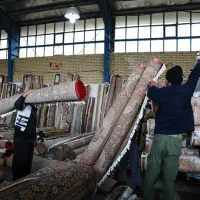 قالیشویی اعتماد|خدمات نظافت|چناران, |دیوار