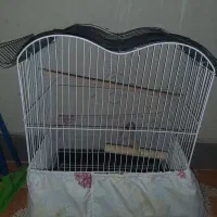 گیرنده دیجیتال   تلویزیون ۱۴   قفس پرنده  ۳۰۰|صوتی و تصویری|شاهرود, |دیوار