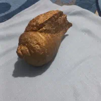 فسیل|کلکسیون اشیاء عتیقه|فیروزآباد (فارس), |دیوار