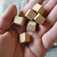 جذب نیرو کار