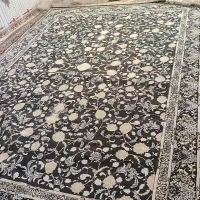 دو عدد فرش دوازده متری یک رنگ|فرش|نورآباد, |دیوار