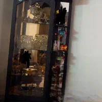 ویترین سالم