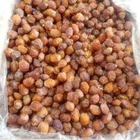 خرمای خاصیون