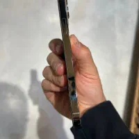12 promax 256|موبایل|شاهرود, |دیوار