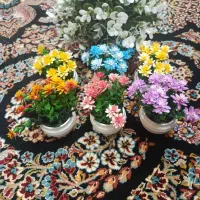 گل تزیینی