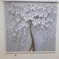 شستشو انواع پرده زبرا و پارچه ای|خدمات نظافت|بروجرد, |دیوار