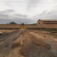 سال-ن-5-5تنی-قارچ