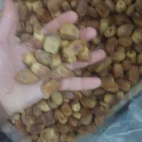 فروش زاهدی و خرما کبکاب