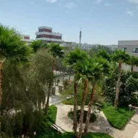 ساحل مرجان* ۱۰۵متر* سنددار