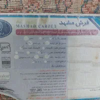 پادری|پادری|مشهد, توس (بلوار توس)|دیوار