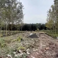 ۳۲۲ متر زمین سرولات سند ششدانگ