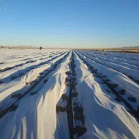 فوم ضد سرمای بوته ها ودرختان