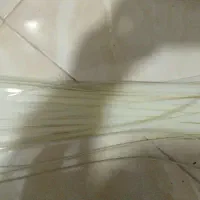 بست کمربندی