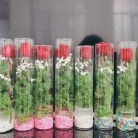 گل‌ طبیعی هدیه روز مادر