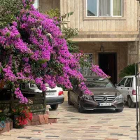 اجاره-سویت-های-تک-خوابه-دو-خوابه-سه-خوابه