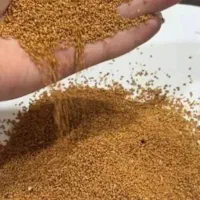 بذر کاملینا درجه  ۱ . مناسب برای کشت دیم