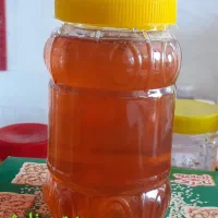 انجیر. شیره انگور.عرقیات.عسل|خوردنی و آشامیدنی|قم, شهرک مهدیه|دیوار