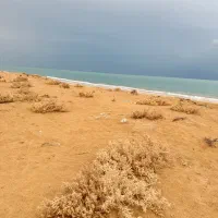 فروش-زمین-تجاری-شهرستان-قیروکارزین