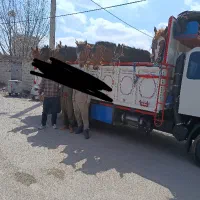 پنجاه عدد اسب  قیمت از ۱۶ تومن تا ۳۰ تومان