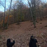 تور یک روزه گلستان گردی|تور و چارتر|گرگان, |دیوار