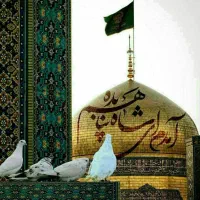 مشهدقطار*اتوبوس*کم هزینه