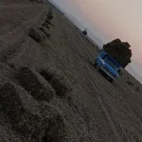 پرس بادام زمینی|لوازم جانبی حیوانات|فامنین, |دیوار