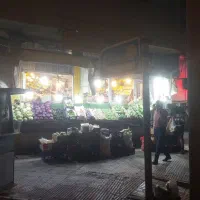 اجاره مغازه میوه فروشی بحرالعلوم