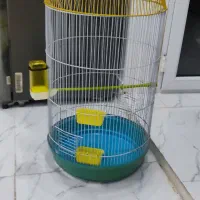 تفس بزرگ|لوازم جانبی حیوانات|رشت, گلزاران|دیوار